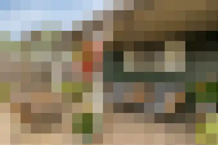 Fazant 21 Grijpskerk thumbnail 61
