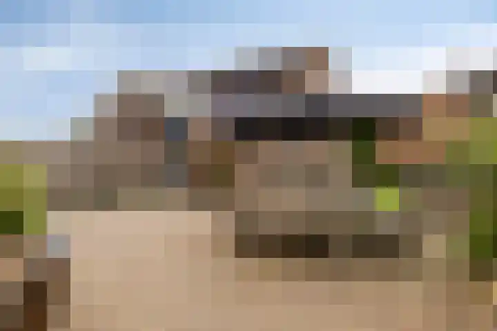 Fazant 21 Grijpskerk thumbnail 62