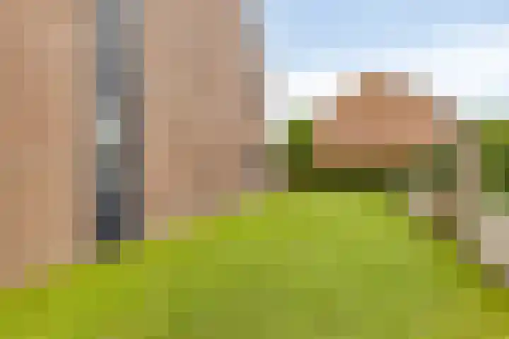Fazant 21 Grijpskerk thumbnail 63