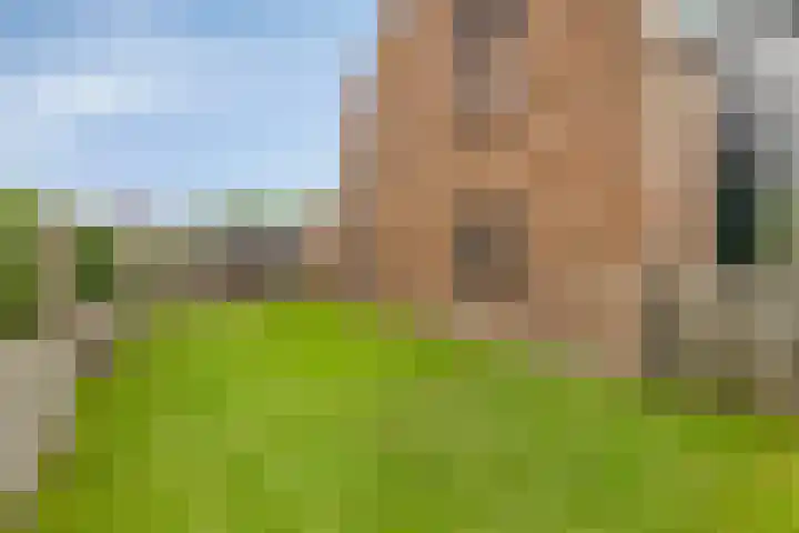 Fazant 21 Grijpskerk thumbnail 64