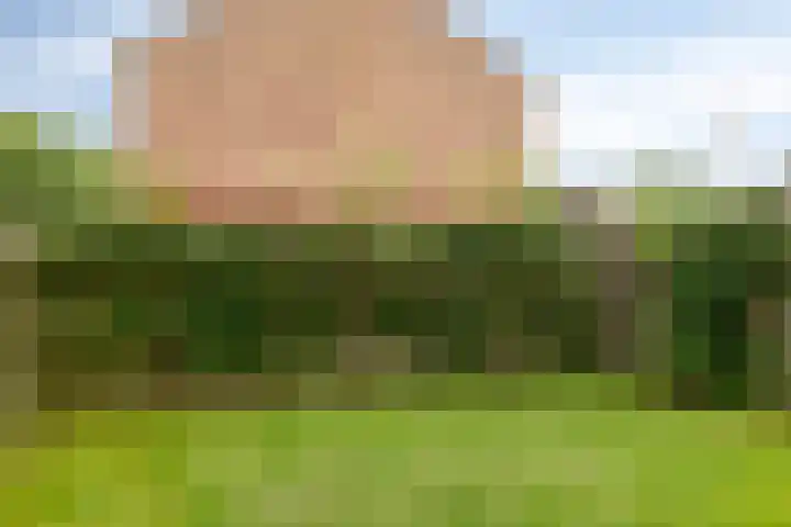 Fazant 21 Grijpskerk thumbnail 65
