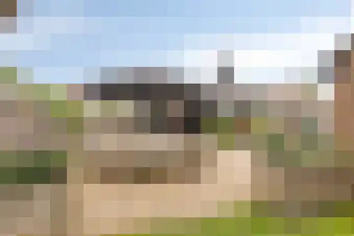 Fazant 21 Grijpskerk thumbnail 66