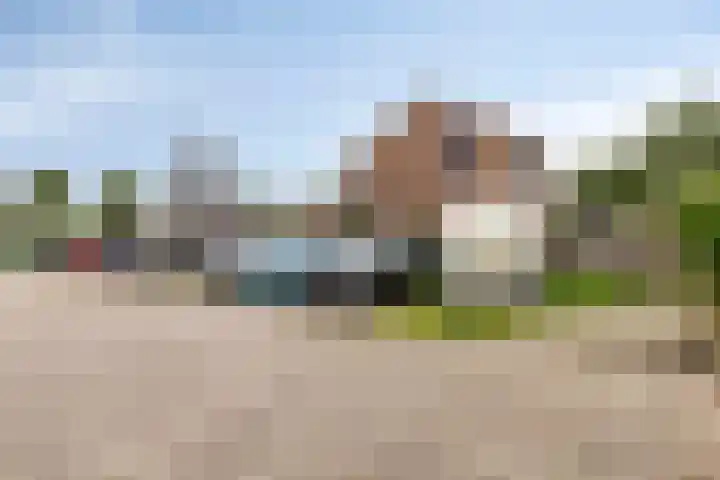 Fazant 21 Grijpskerk thumbnail 67