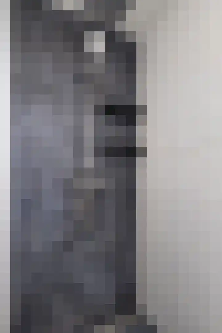 Fazant 21 Grijpskerk thumbnail 7
