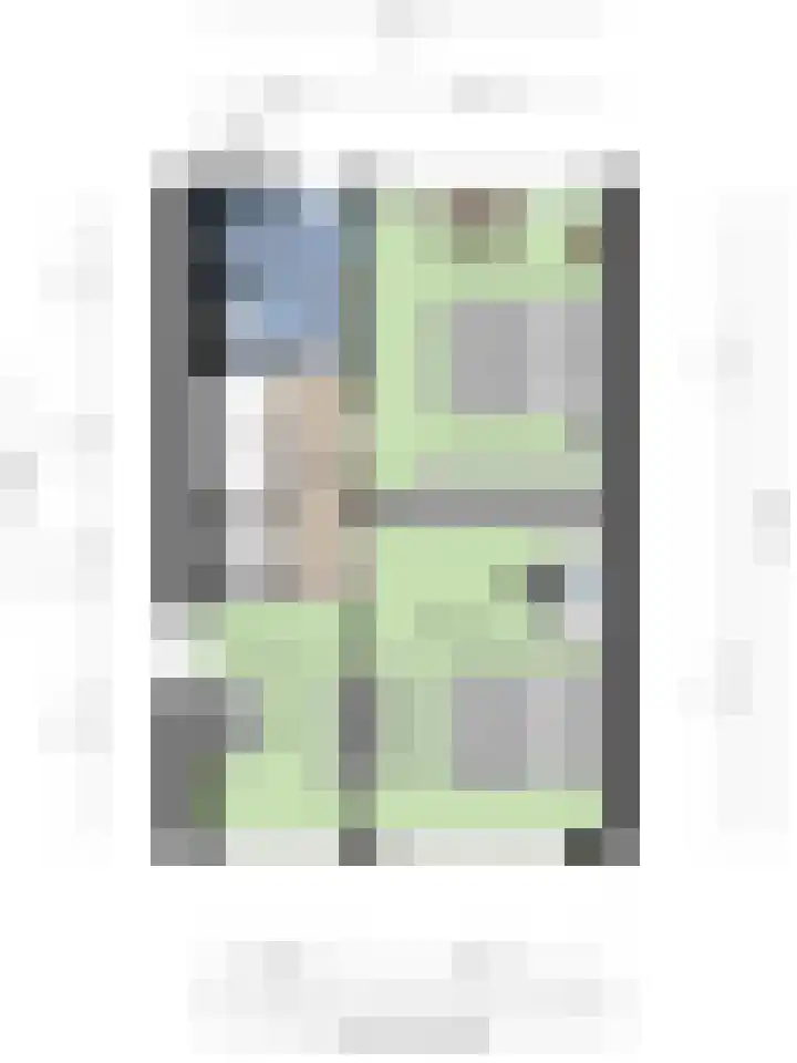 Fazant 21 Grijpskerk thumbnail 70