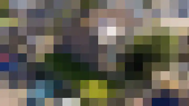 Fazant 21 Grijpskerk thumbnail 73