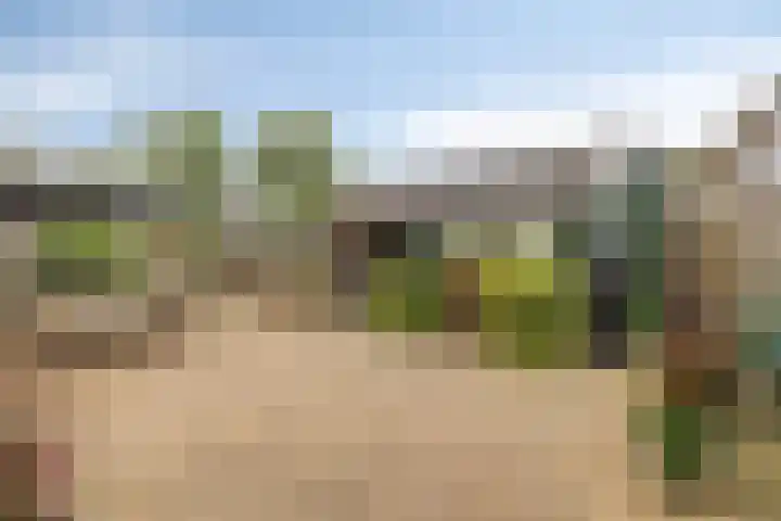 Fazant 21 Grijpskerk thumbnail 8