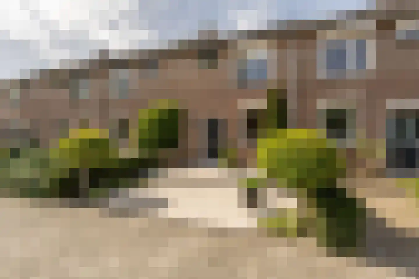 Fazant 24 Maasdam