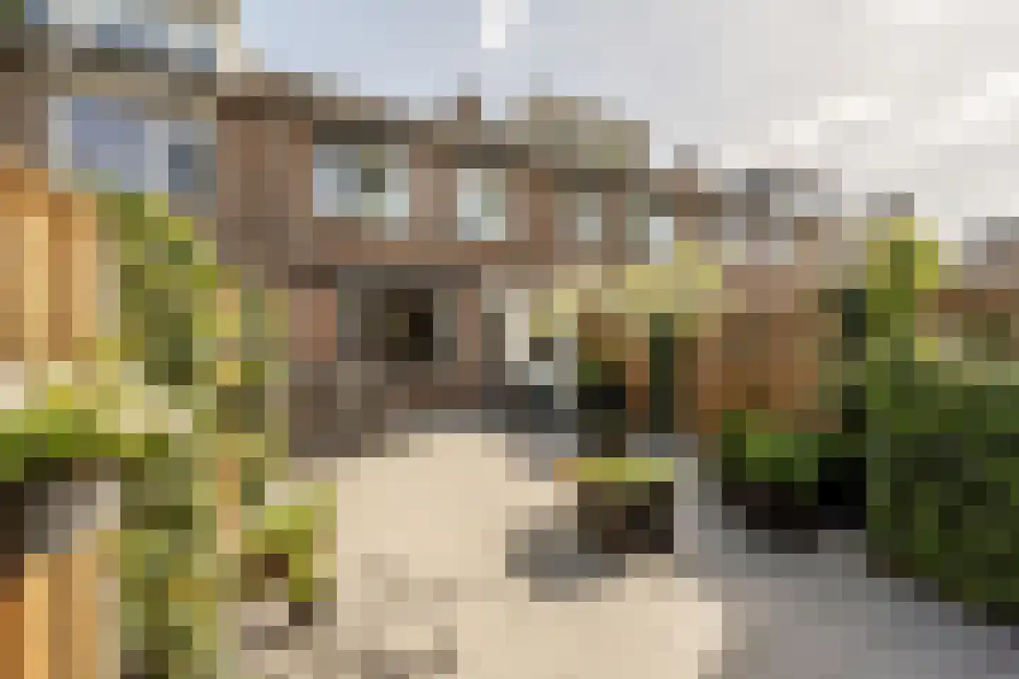 Fazant 24 Maasdam thumbnail 12