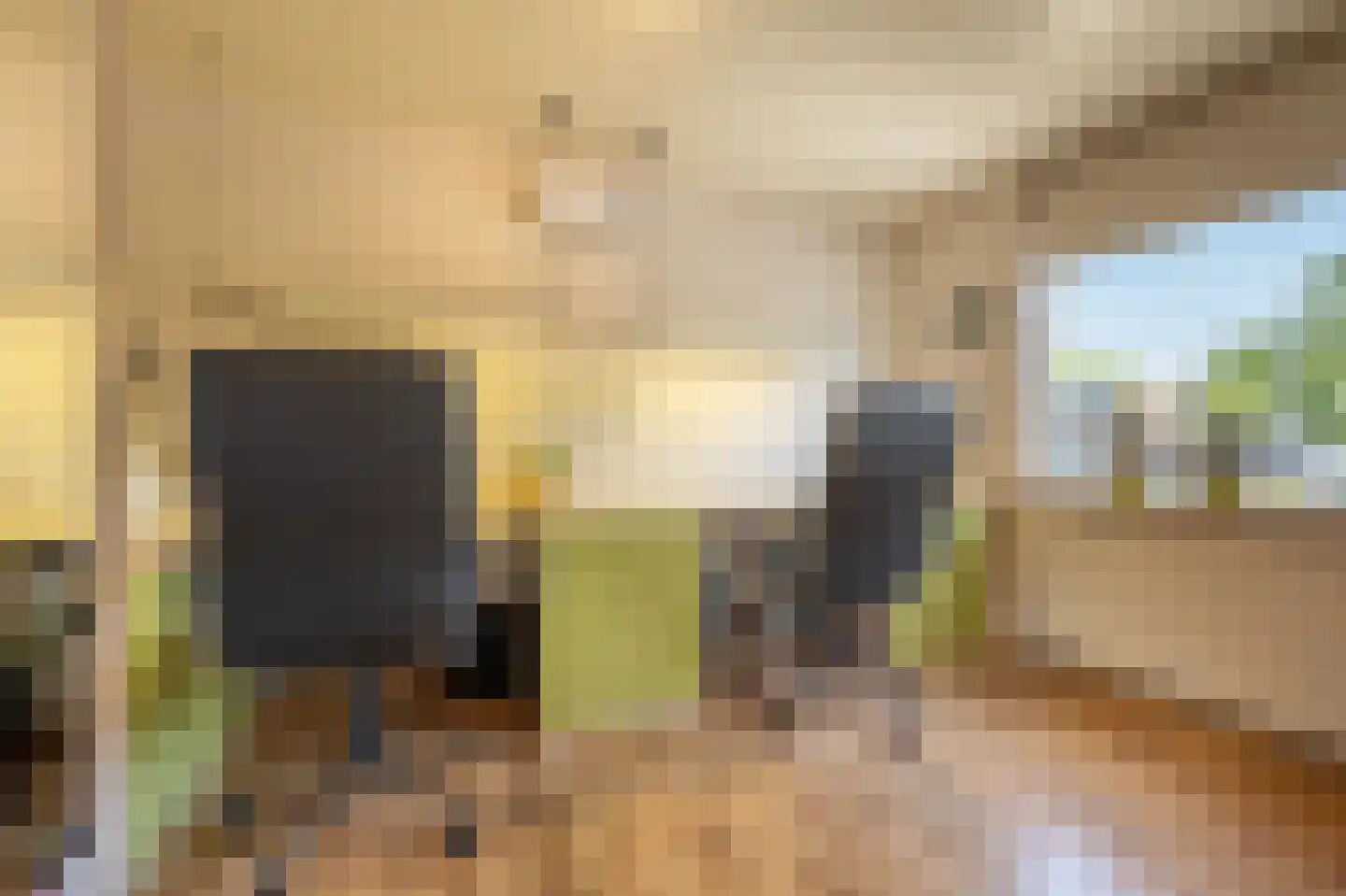Fazant 24 Maasdam thumbnail 17