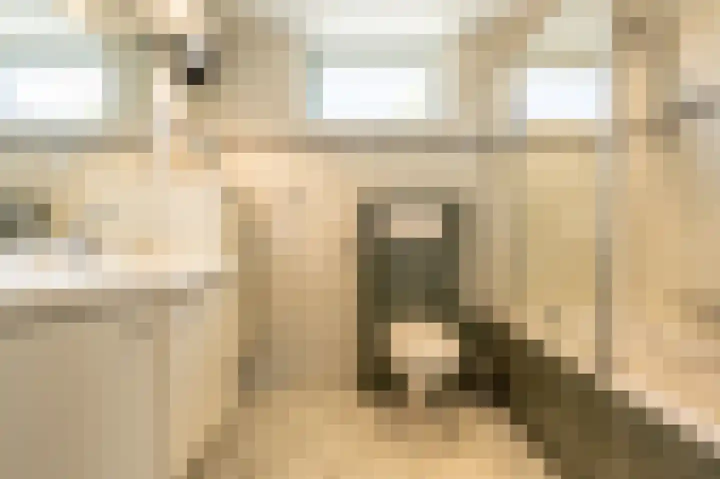Fazant 24 Maasdam thumbnail 19