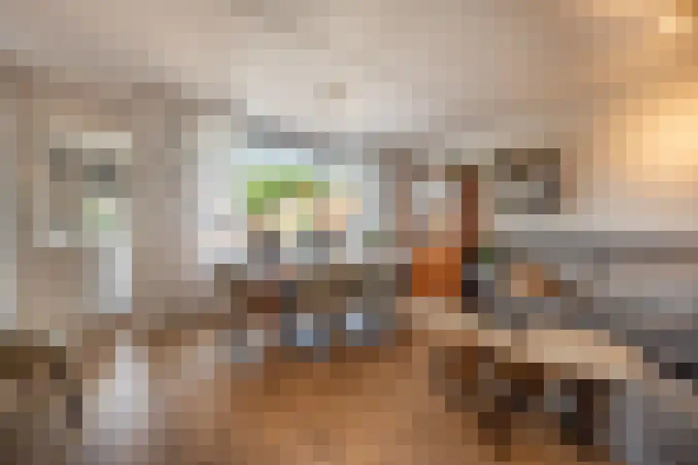 Fazant 24 Maasdam foto 2