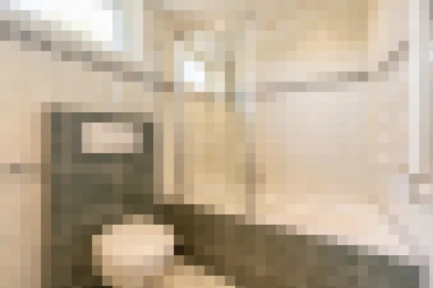 Fazant 24 Maasdam thumbnail 20