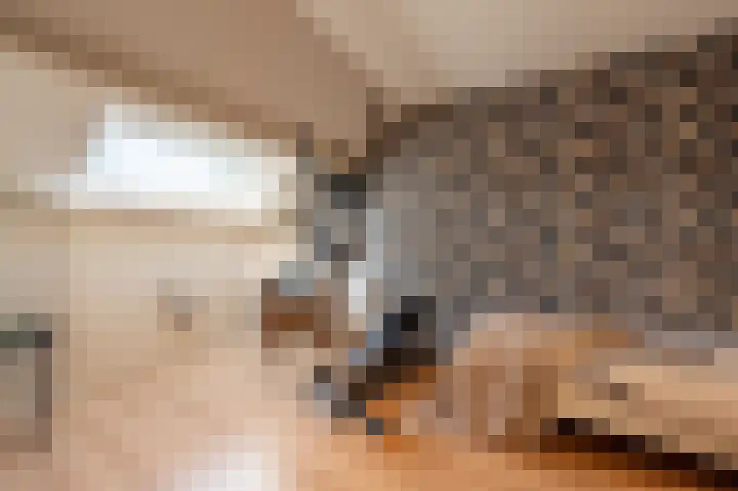 Fazant 24 Maasdam thumbnail 22