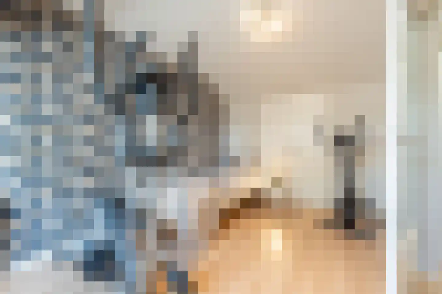 Fazant 24 Maasdam thumbnail 23