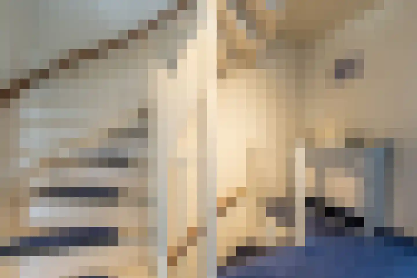 Fazant 24 Maasdam thumbnail 25