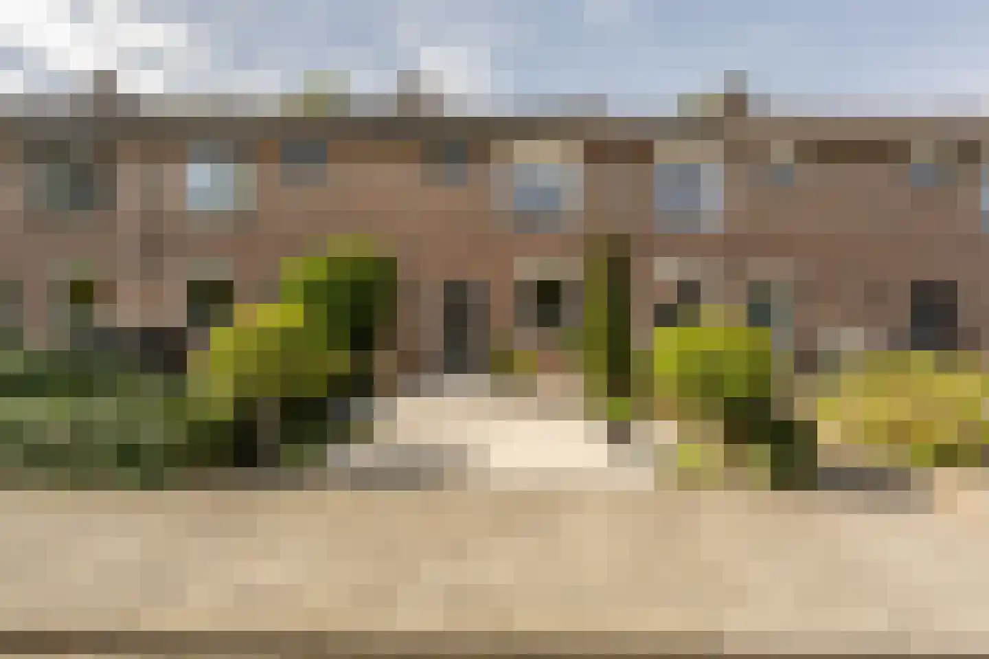 Fazant 24 Maasdam thumbnail 26