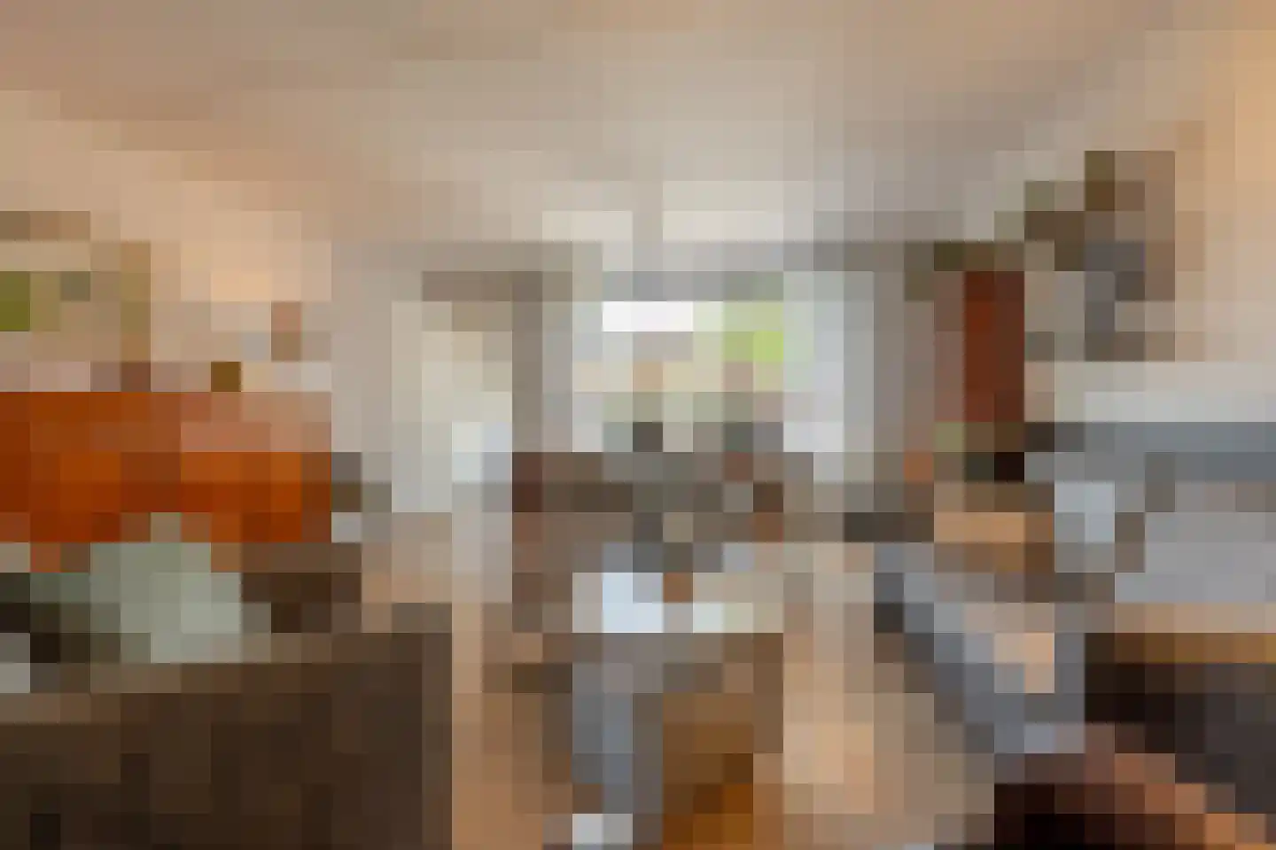 Fazant 24 Maasdam foto 3