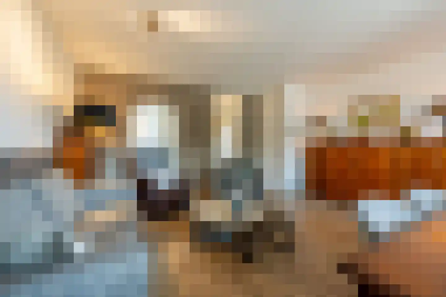 Fazant 24 Maasdam thumbnail 5
