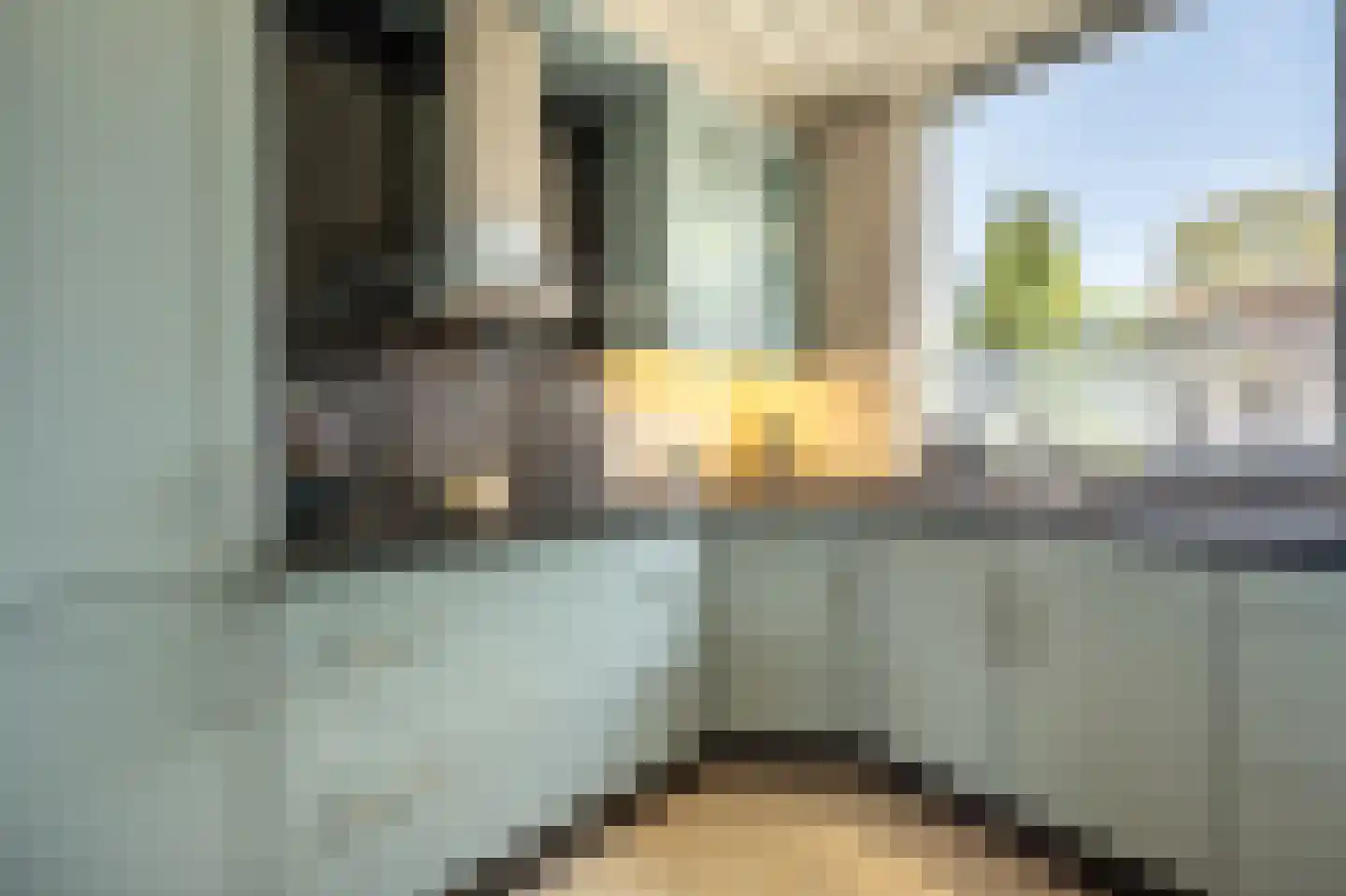 Fazant 24 Maasdam thumbnail 6