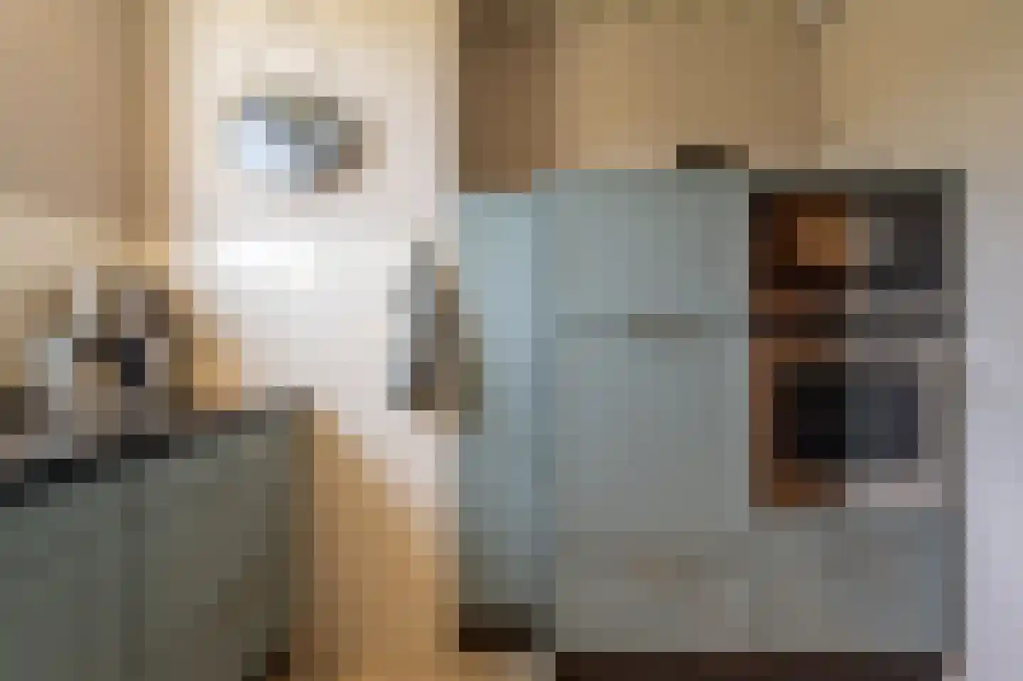 Fazant 24 Maasdam thumbnail 8