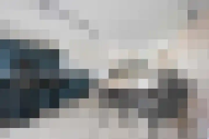 Fazant 25 Emmer-Compascuum thumbnail 12
