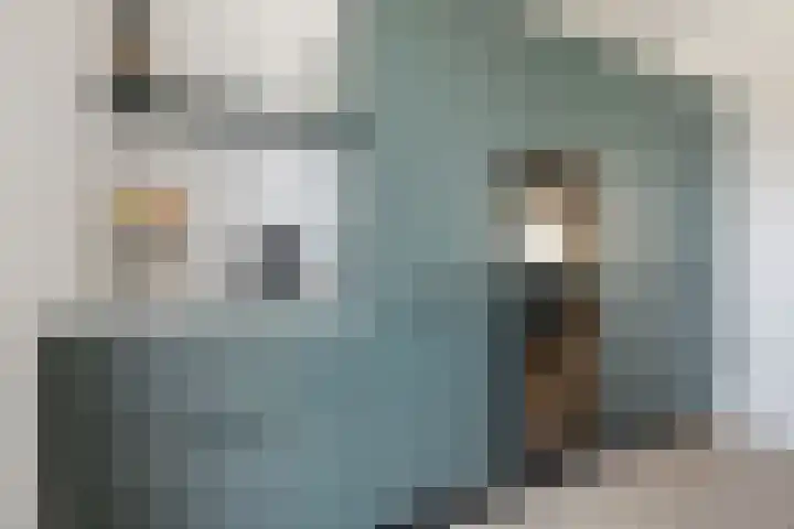 Fazant 25 Emmer-Compascuum thumbnail 14
