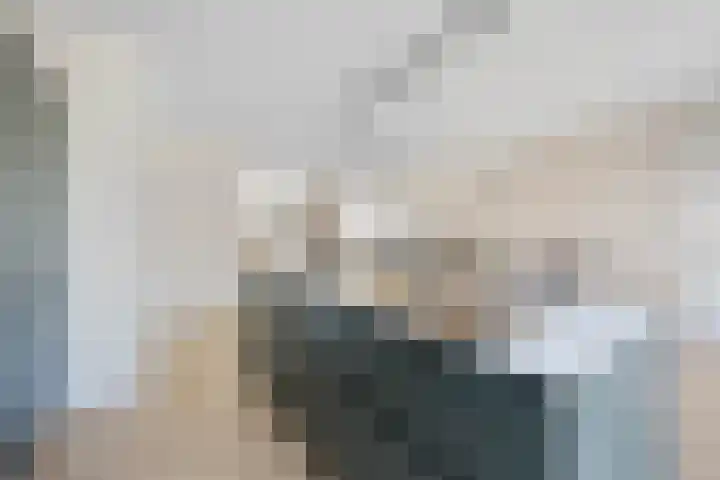 Fazant 25 Emmer-Compascuum thumbnail 15
