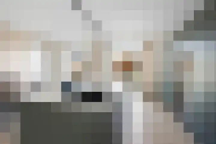 Fazant 25 Emmer-Compascuum thumbnail 16