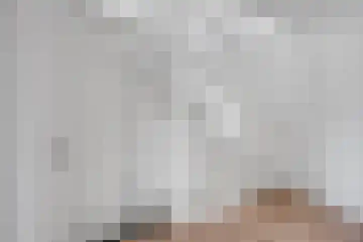Fazant 25 Emmer-Compascuum thumbnail 19