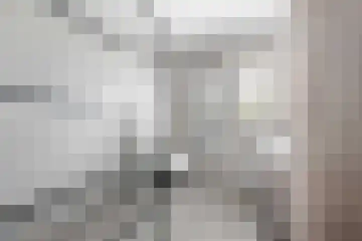 Fazant 25 Emmer-Compascuum thumbnail 24