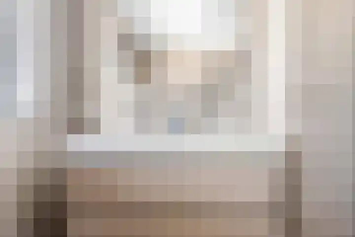 Fazant 25 Emmer-Compascuum thumbnail 25