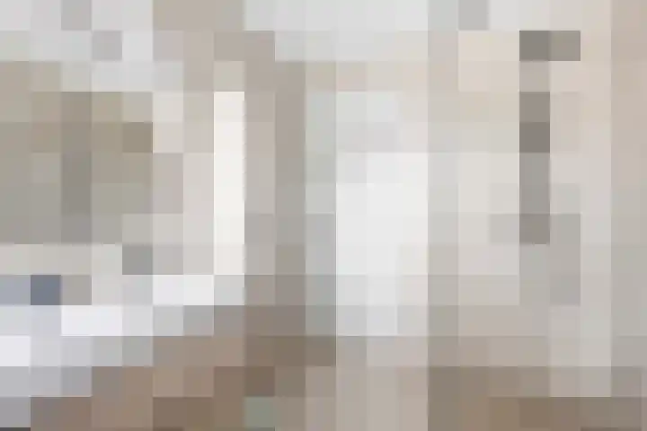 Fazant 25 Emmer-Compascuum thumbnail 26