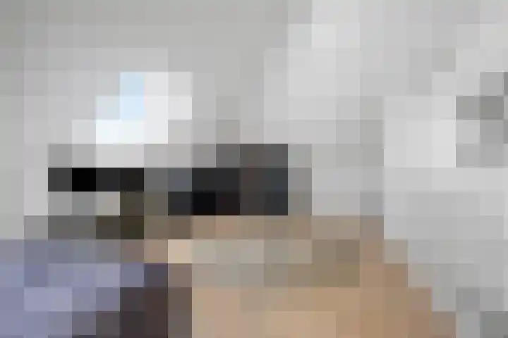 Fazant 25 Emmer-Compascuum thumbnail 30