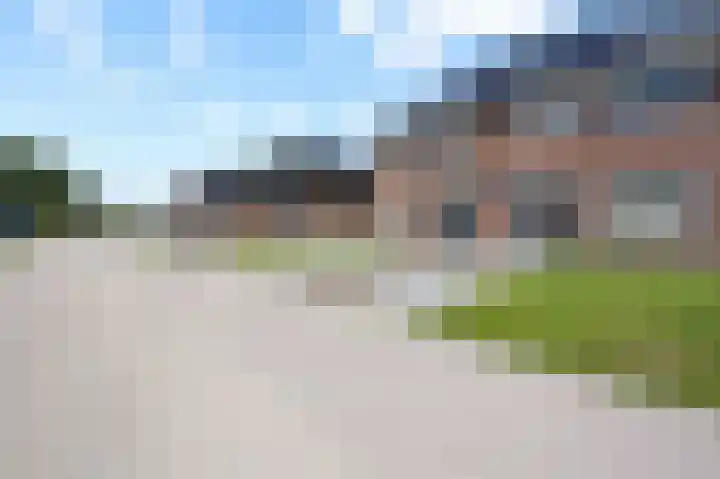 Fazant 25 Emmer-Compascuum thumbnail 31