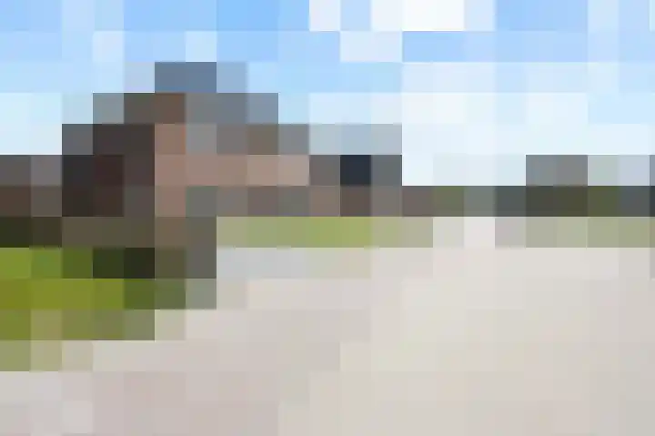 Fazant 25 Emmer-Compascuum thumbnail 32