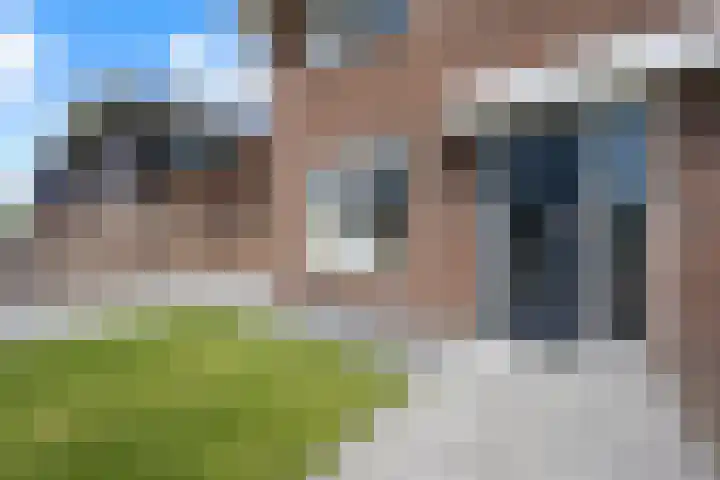 Fazant 25 Emmer-Compascuum thumbnail 33
