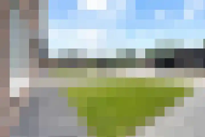 Fazant 25 Emmer-Compascuum thumbnail 34
