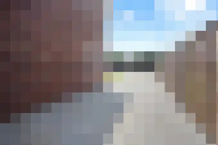 Fazant 25 Emmer-Compascuum thumbnail 35