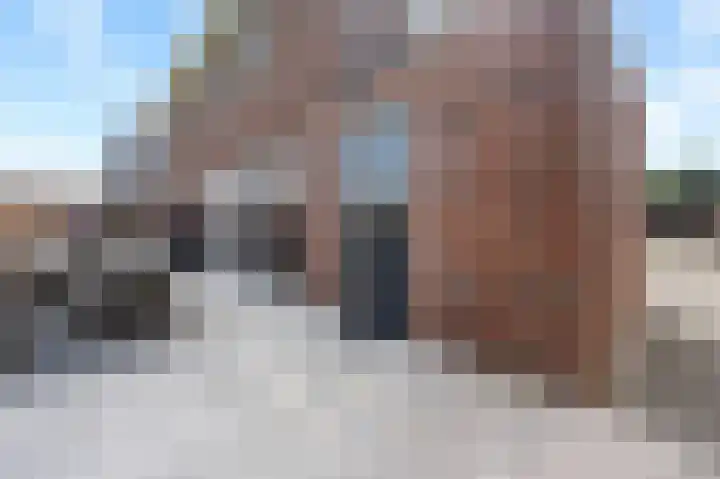Fazant 25 Emmer-Compascuum thumbnail 36