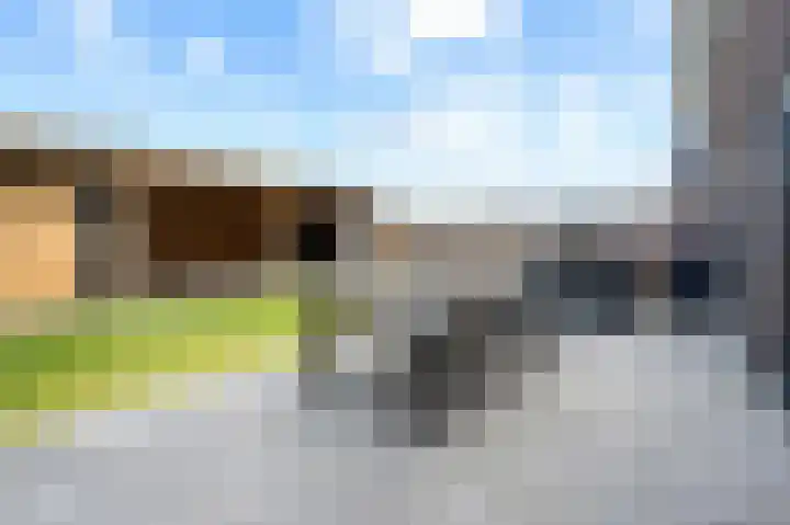 Fazant 25 Emmer-Compascuum thumbnail 37