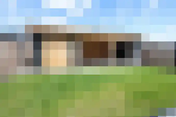 Fazant 25 Emmer-Compascuum thumbnail 38