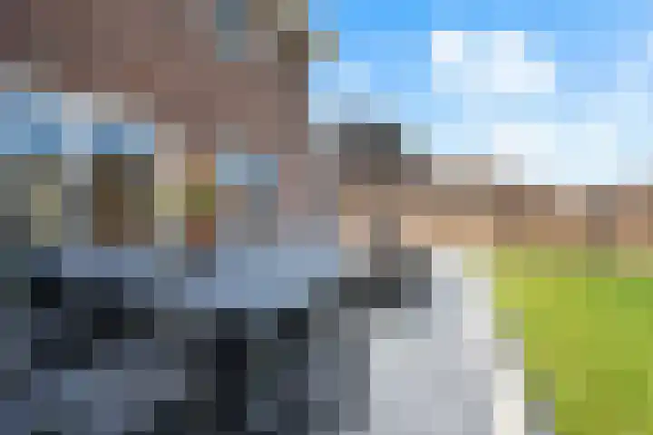 Fazant 25 Emmer-Compascuum thumbnail 39