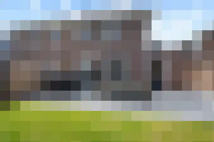 Fazant 25 Emmer-Compascuum thumbnail 40
