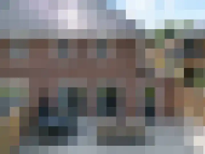 Fazant 25 Emmer-Compascuum thumbnail 41