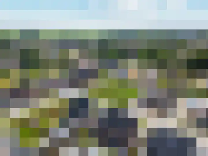 Fazant 25 Emmer-Compascuum thumbnail 42