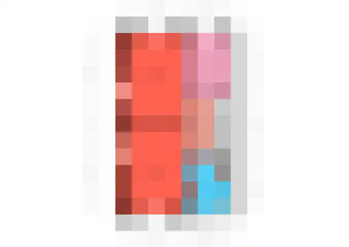 Fazant 25 Emmer-Compascuum thumbnail 44