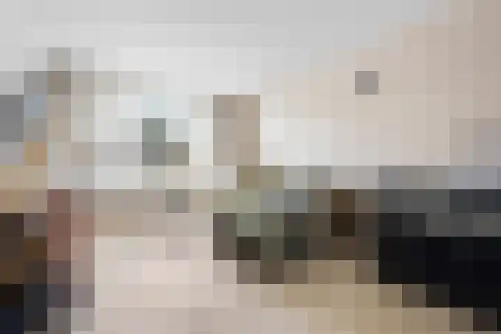 Fazant 25 Emmer-Compascuum thumbnail 7