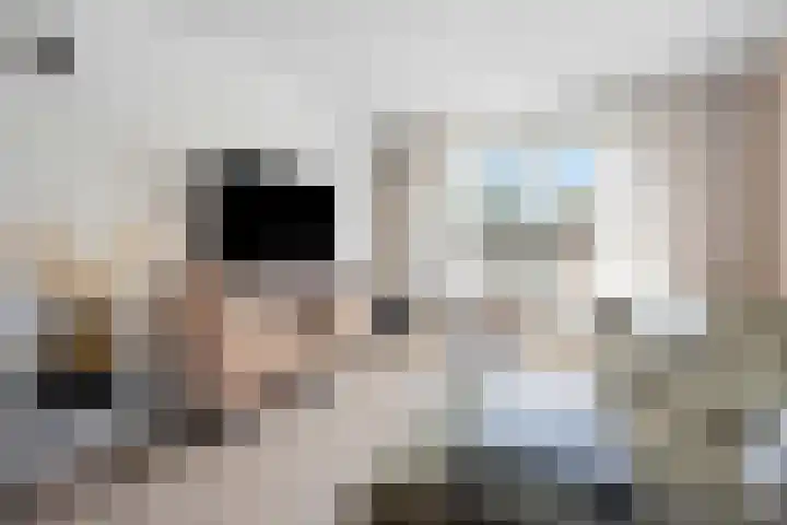 Fazant 25 Emmer-Compascuum thumbnail 8
