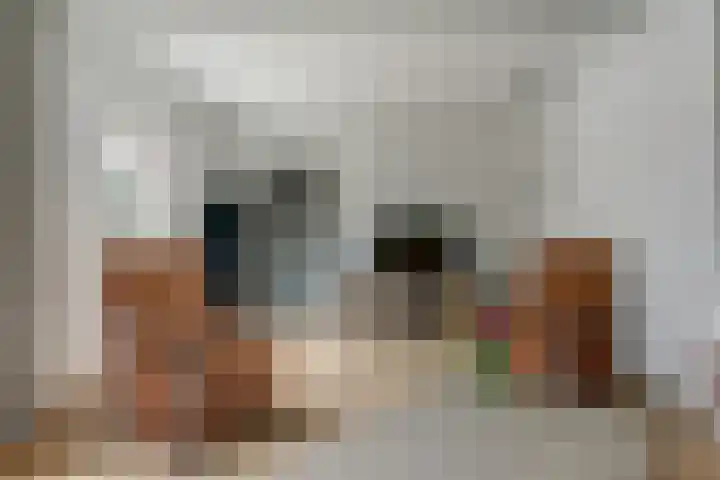 Fazant 25 Maasdam thumbnail 11